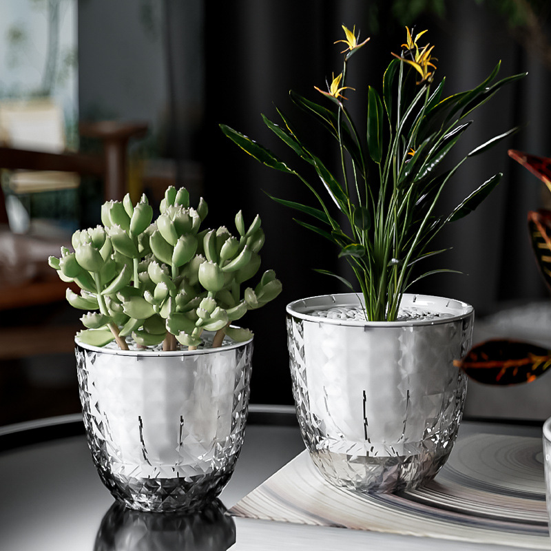 Aloe Vera Pot - Yeşil Turp için Şeffaf Plastik Tembel