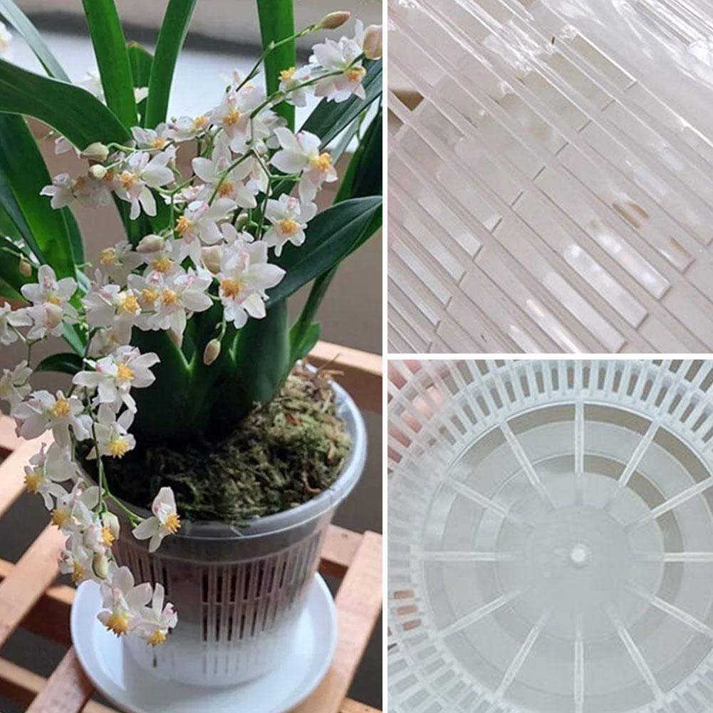 Aloe Vera Pot - Örgü Saksı Kök Kontrolü Şeffaf Saksı
