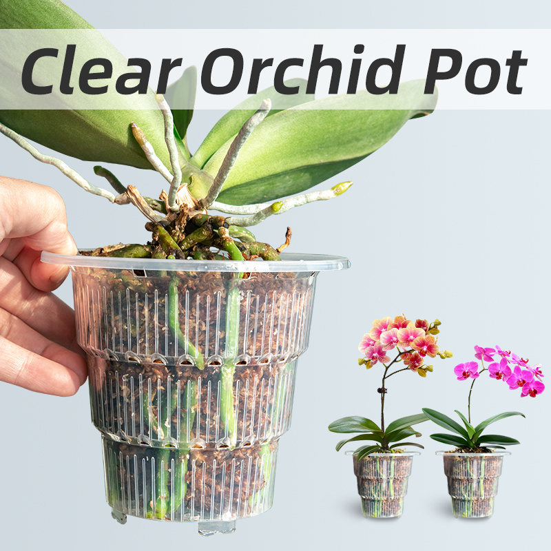 Aloe Vera Pot - Meshpot Şeffaf Plastik Orkide Saksıları, Küçük