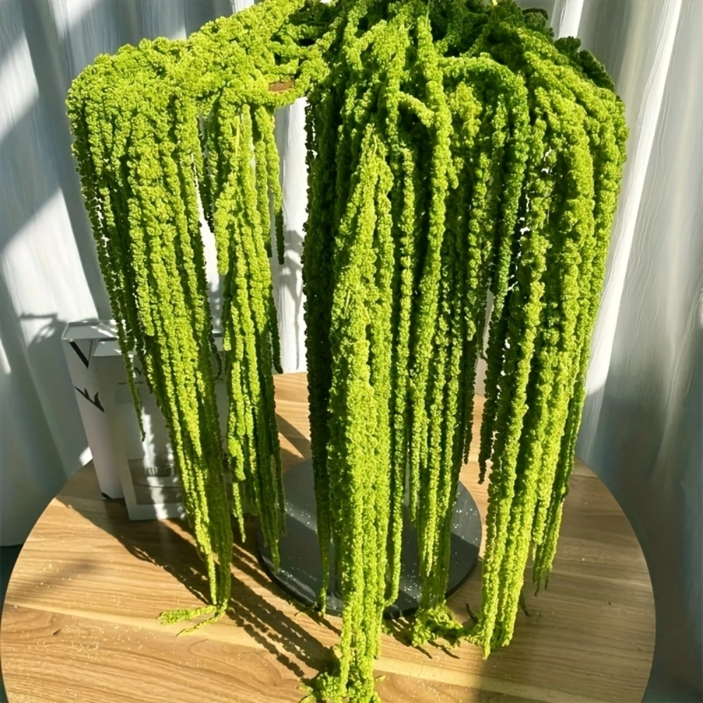 4 Parçalı Yapay Amaranthus Çiç - Monstera Adansonii incelemesi ve fiyatı