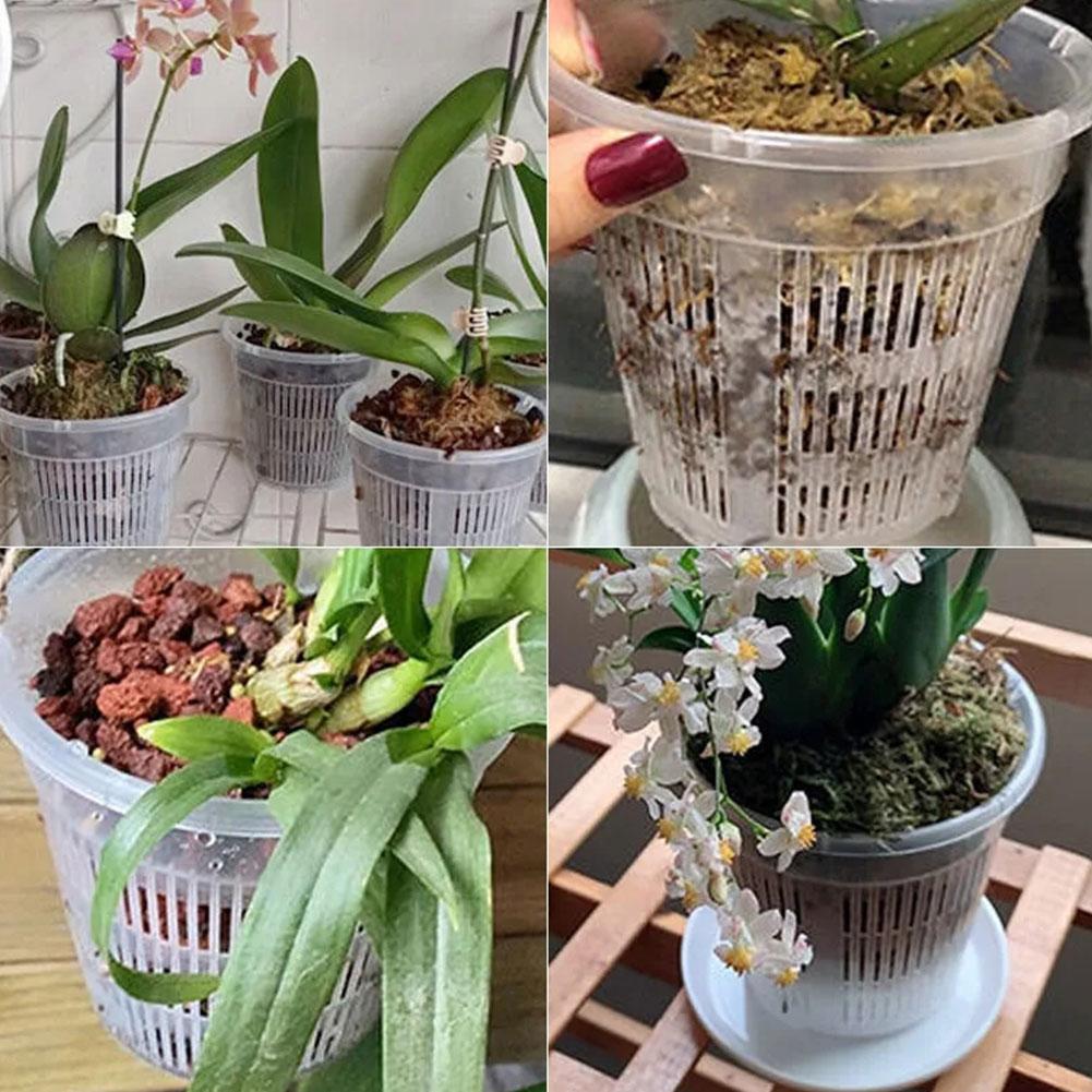 Örgü Saksı Kök Kontrolü Şeffaf - Aloe Vera Pot incelemesi ve fiyatı