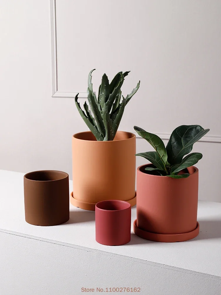 1 adet Yeni Saf Renkli Seramik - Echeveria Succulent incelemesi ve fiyatı