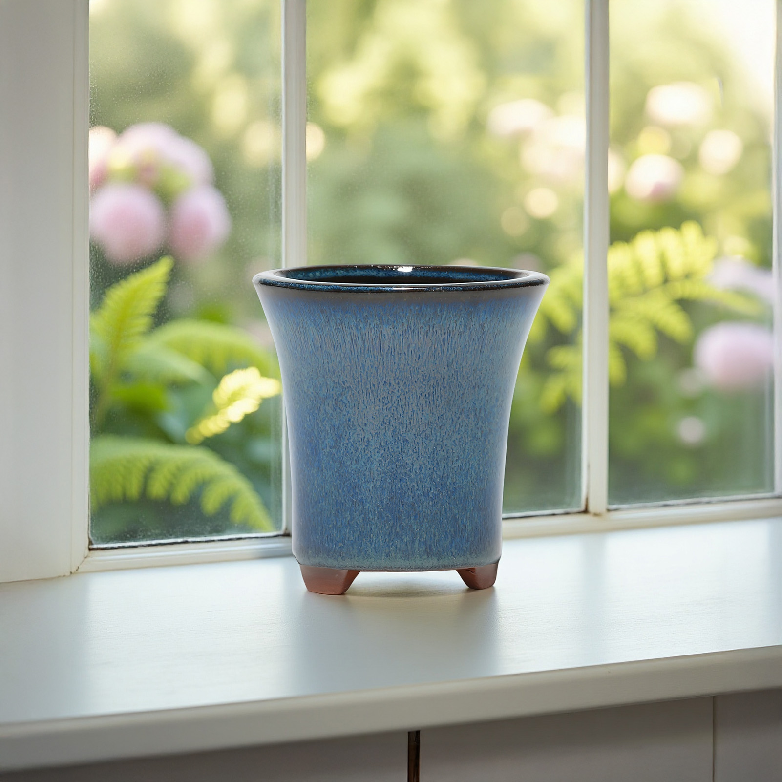 Balkon Oturma Odası Yatak Odas - Aloe Vera Pot incelemesi ve fiyatı