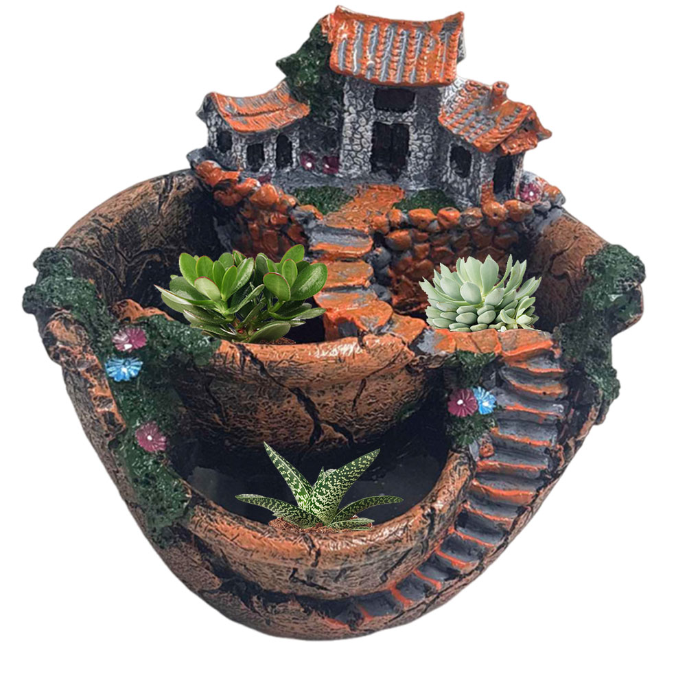 Sulu Bitki Saksısı Vintage Çok - Echeveria Succulent incelemesi ve fiyatı