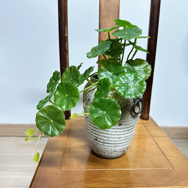 2 adet Yapay Pilea Peperomioid - Pilea Peperomioides incelemesi ve fiyatı