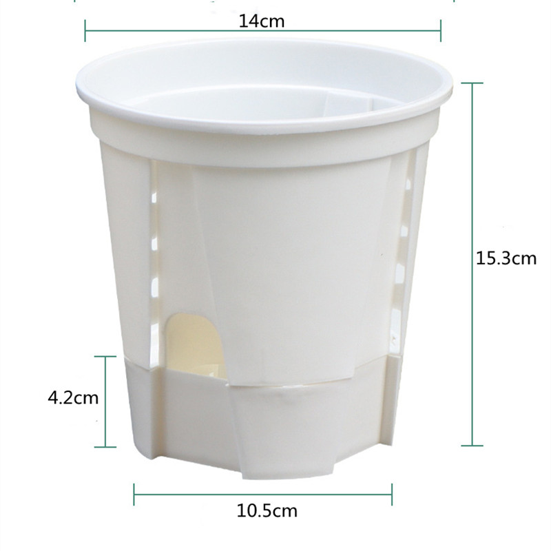 5 adet Şeffaf Orkide Pot Delik - Aloe Vera Pot incelemesi ve fiyatı